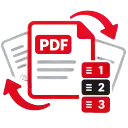 Organizar PDF